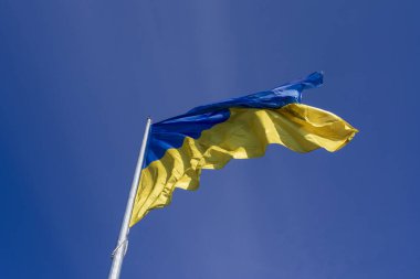 Ukrayna 'nın mavi ve sarı bayrağı gökyüzünde bayrak direğinde parktaydı.