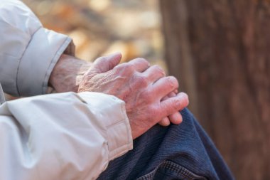 Parkta dizlerinin üstünde yaşlı bir adamın elleri.