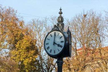 Şehirdeki parktaki bir sokak saati kadranı.