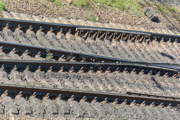 Vías Carriles Para Trenes Trenes Pasajeros —  Fotos de Stock