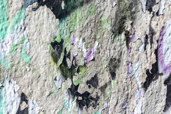 Alte Rissige Farbe Einer Betonwand — Stockfoto