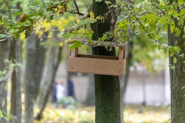 Benne Alimentation Dans Parc Automne Nourriture Pour Oiseaux Dans Parc — Photo