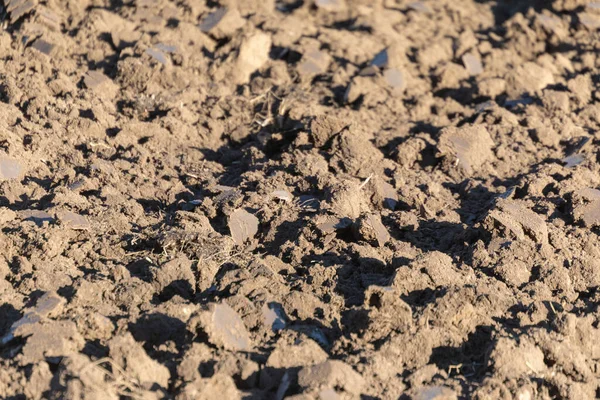 Plowed Land Gray Field Autumn Field Harvest October — Stock Photo, Image