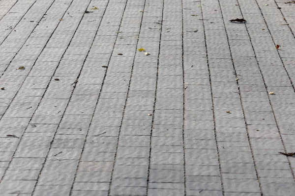 Színes Macskakövek Textúrája Háttérnek Betonburkolat Járdán — Stock Fotó