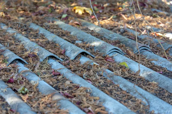 Der Alte Sheriff Auf Dem Dach Ist Mit Gelben Blättern — Stockfoto