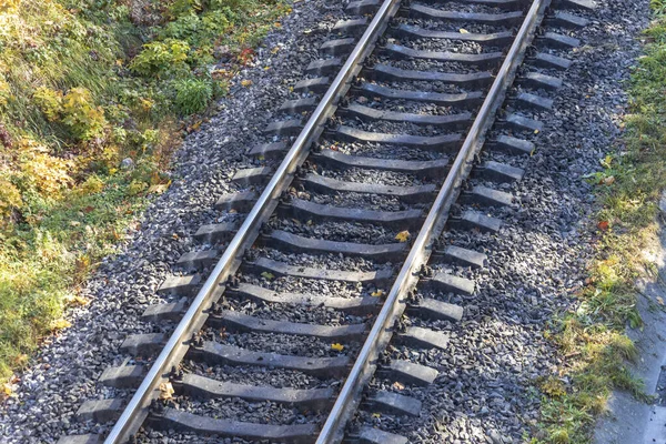 Spoor Het Bos Herfst Groen Gras Gele Bladeren — Stockfoto