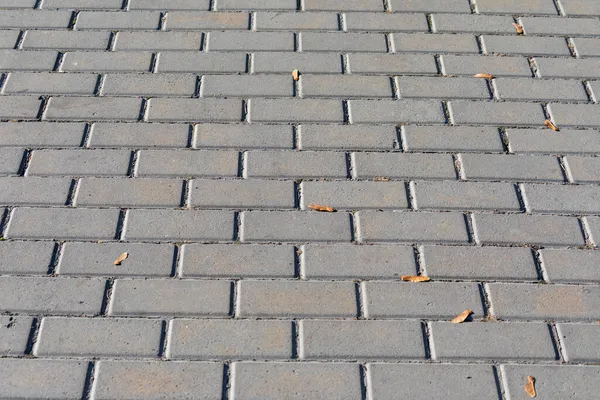 Pavimento Retangular Concreto Para Fundos Texturas — Fotografia de Stock