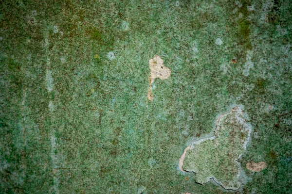 Texture Old Wall Sandstone Abandoned House — Stock Photo, Image