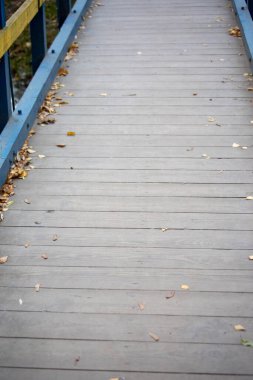 Nehrin üzerindeki parktaki renkli ahşap köprü.