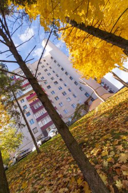 Ev ve sonbahar havası, Ekim 'de sarı yapraklar ve ağaçlar