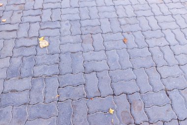 Arka planlar için parktaki beton kaldırım dokusu