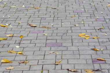 Kaldırımdaki beton kaldırımlar arka planlar için. Asfaltın dokusu, arkaplanı