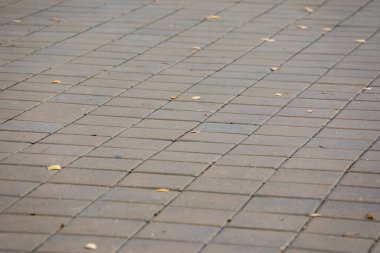 Kaldırımdaki beton kaldırımlar arka planlar için. Asfaltın dokusu, arkaplanı