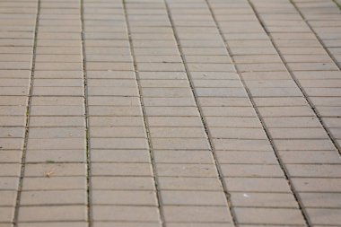 Kaldırımdaki beton kaldırımlar arka planlar için. Asfaltın dokusu, arkaplanı