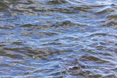 Sonbahar soğuk suyu gölette ve dalgalar Ekim 'de