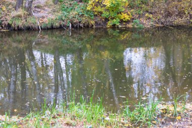 Sonbahar soğuk suyu gölette ve dalgalar Ekim 'de