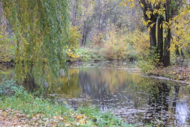 Sonbahar soğuk suyu gölette ve dalgalar Ekim 'de