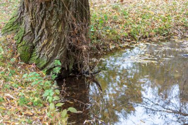 Sonbahar soğuk suyu gölette ve dalgalar Ekim 'de