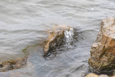 Ekim ayında parkta fırtınalı nehir suyu