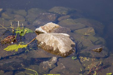 Sonbaharda bir fırtına sırasında göletin kıyısındaki taşlar