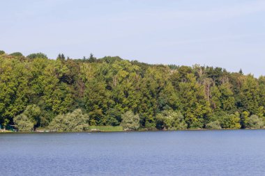 Havuzdaki parkta sonbahar suyu ve sazlıklarla yeşillikler