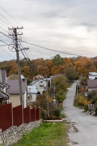 秋天街上的私人住宅 以及美丽的森林和黄叶的背景 — 图库照片