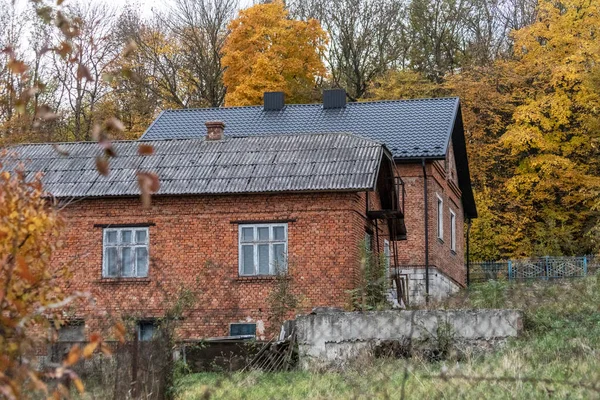 Domki Prywatne Ulicy Jesienią Tło Pięknego Lasu Żółtych Liści — Zdjęcie stockowe