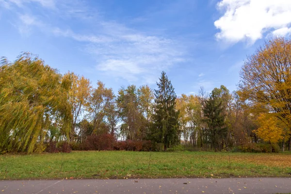 Herbstliche Landschaft Und Schöne Landschaften Gelbe Blätter Grünes Gras Schönen — Stockfoto