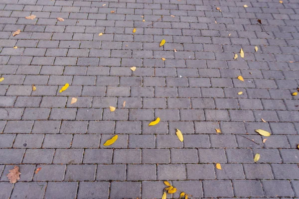 Concrete Pavement Sidewalk Backgrounds Pavement Texture Backgrounds — Stock Photo, Image