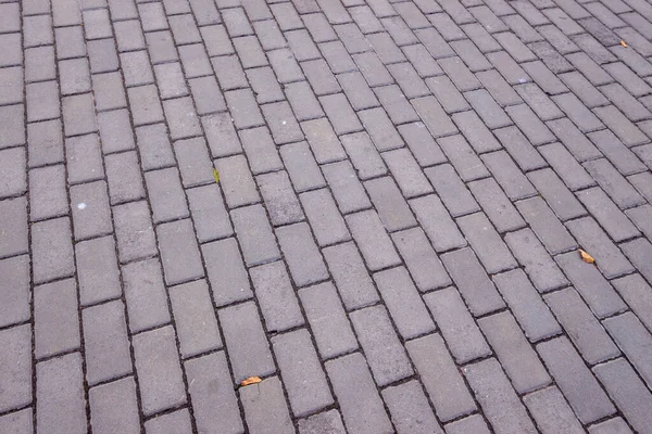 Pavé Béton Sur Trottoir Pour Les Milieux Texture Chaussée Milieux — Photo