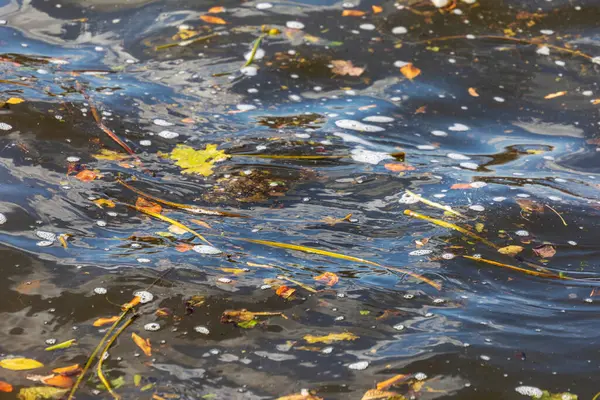 Осенняя Холодная Вода Пруду Волны Октябре — стоковое фото