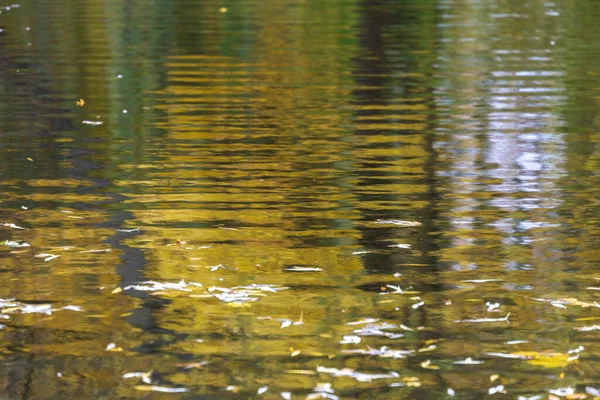 Autumn Cold Water Pond Waves October — Stock Photo, Image