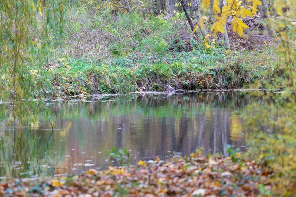 Autumn Cold Water Pond Waves October — Stock Photo, Image