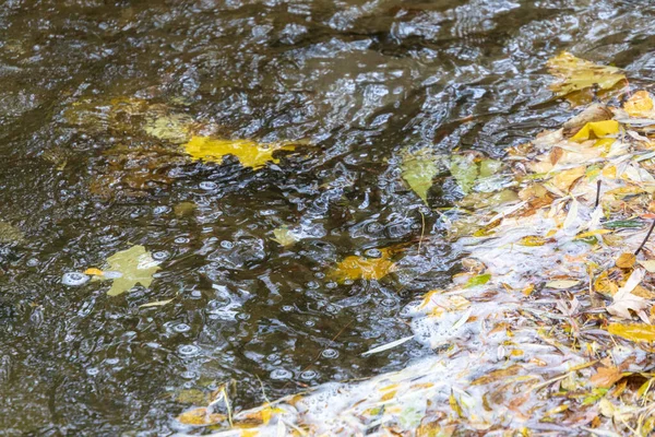 Stürmisches Flusswasser Oktober Park — Stockfoto