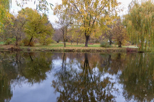 Herfst Water Het Park Vijver Greens Met Riet — Stockfoto