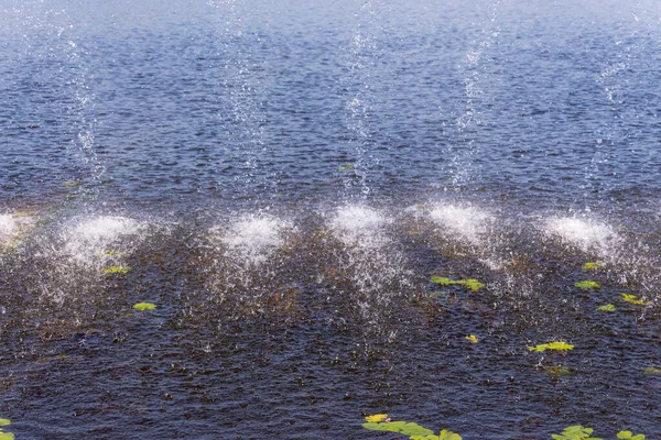 Jatos Água Uma Fonte Dique Lago Verão — Fotografia de Stock
