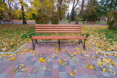 Ekim 'de parktaki ahşap bank