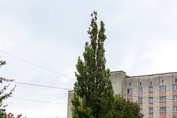 Façade Immeuble Résidentiel Avec Grand Nombre Couronnes — Photo