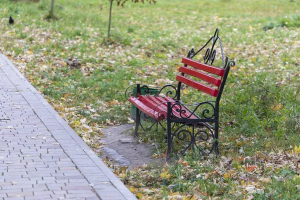10月の公園内の木のベンチ — ストック写真