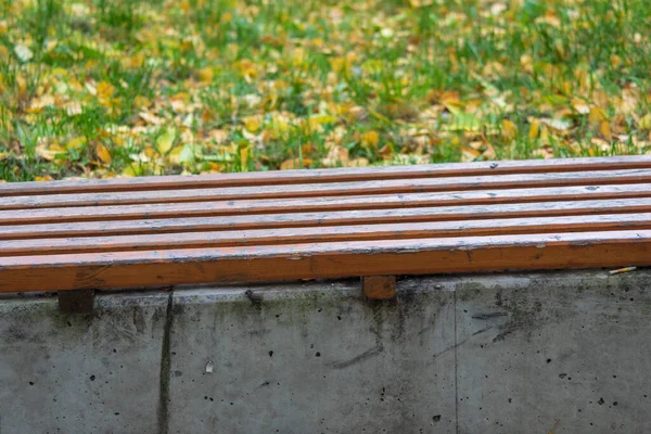 Banc Bois Dans Parc Octobre — Photo