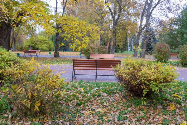 Holzbank Park Oktober — Stockfoto