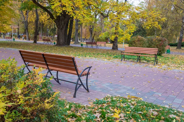 Banco Madera Parque Octubre — Foto de Stock