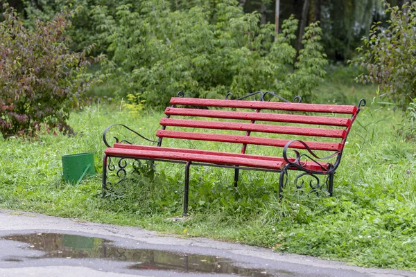 งไม ในสวนในเด อนต ลาคม — ภาพถ่ายสต็อก