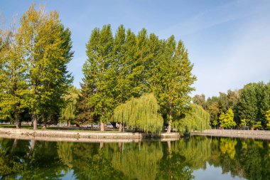 Eylül ayında göletin yanındaki parkta sonbahar manzarası