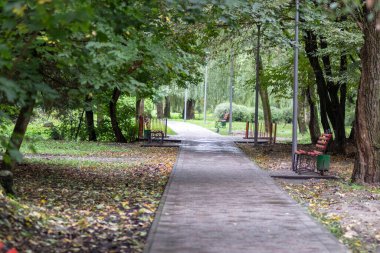 Ekim ayındaki güzel sonbahar manzarası. Sarı yapraklar, ağaçlar, park.