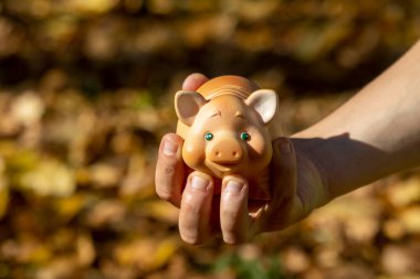Bir adam elinde para ve iş sembolü olarak oyuncak bir domuz tutuyor.
