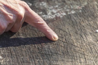 Bir adam parktaki bir şeyi işaret ediyor.