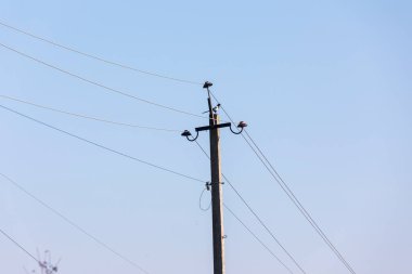Elektrik hatları gökyüzünün arka planında bir direkte