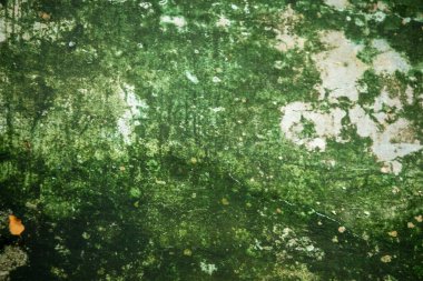 Eski bir duvarın dokusu ve terk edilmiş bir evde kumtaşı.