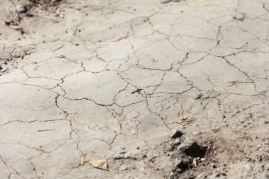 Parkta, gölgede kuru, çatlamış zemin.